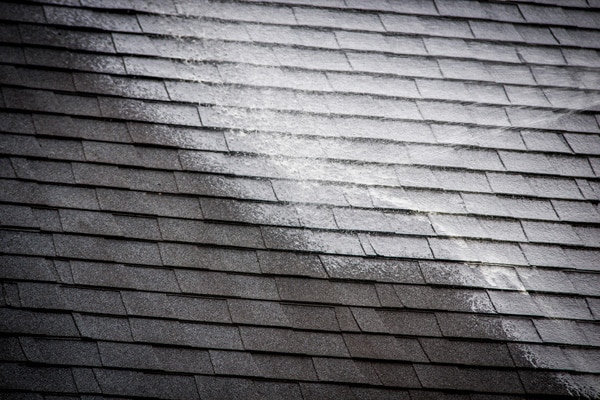 Up close shot of cleanser application during a roof treatment service.