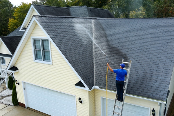 Power washing technician on ladder using low pressure to treat a roof for infestations on home with yellow vinyl siding
