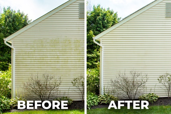 Before and after photos of light yellow vinyl siding that is now clean after having been covered in algae