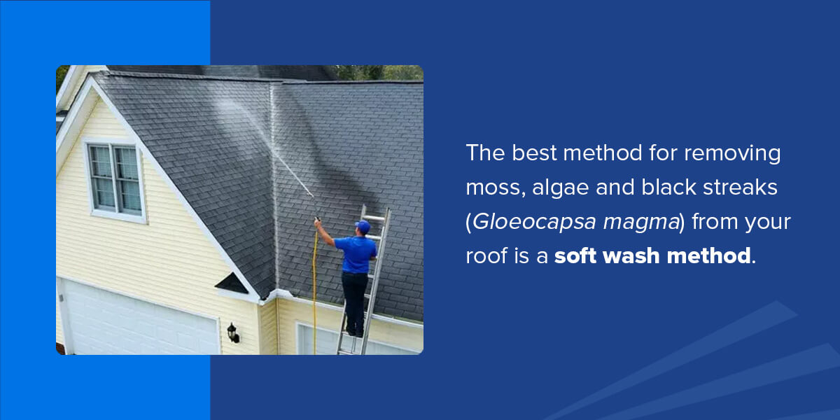 Why You Should Soft Wash a Roof 
