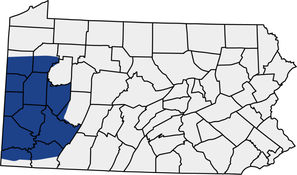 Map of Pennsylvania with most western counties colored blue to represent Perfect Power Wash's service area