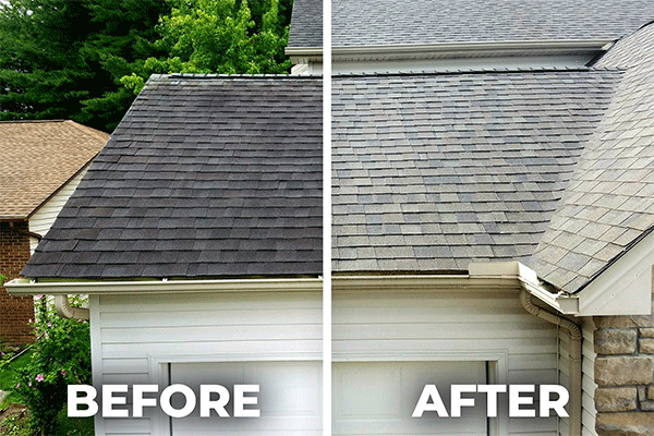 Before and after roof treatment